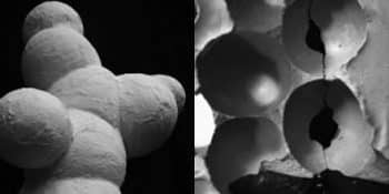 links: Modell zum Fügungsprinzip der Ingwerwurzel; Material Gipsbinden; rechts:  Modell zur Raumfindung; Gipsguss - gefüllte Wasserballons in Gips