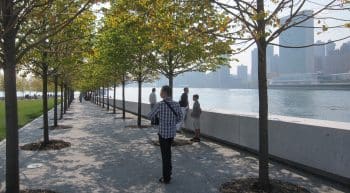 «Four Freedoms Park» Lindenbaum Allee - rechts das UN-Scheibenhochhaus.
